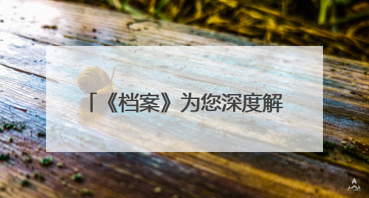 《档案》为您深度解析85年前敦刻尔克大撤退成功的密码