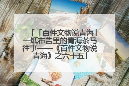「百件文物说青海」一纸布告里的青海茶马往事——《百件文物说青海》之六十五