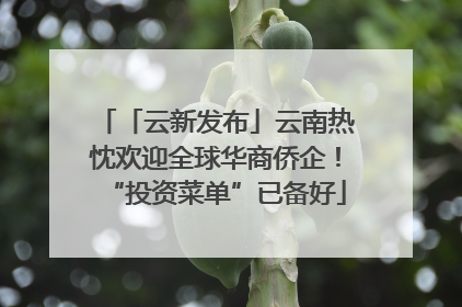 「云新发布」云南热忱欢迎全球华商侨企！“投资菜单”已备好