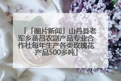 「图片新闻」山丹县老军乡蕃昌农副产品专业合作社每年生产各类玫瑰花产品500多吨