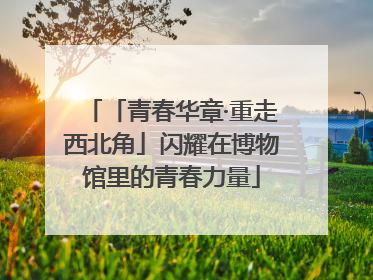 「青春华章·重走西北角」闪耀在博物馆里的青春力量