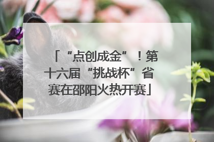 “点创成金”！第十六届“挑战杯”省赛在邵阳火热开赛