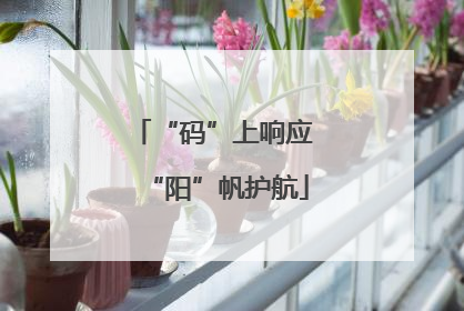“码”上响应 “阳”帆护航