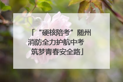 “硬核陪考”随州消防全力护航中考 筑梦青春安全路