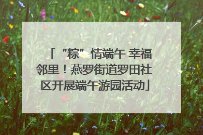 “粽”情端午 幸福邻里！燕罗街道罗田社区开展端午游园活动