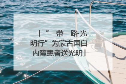 “一带一路·光明行”为蒙古国白内障患者送光明