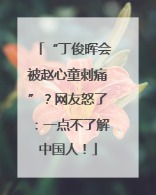 “丁俊晖会被赵心童刺痛”？网友怒了：一点不了解中国人！