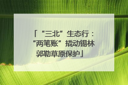 “三北”生态行：“两笔账”撬动锡林郭勒草原保护