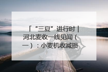 “三夏”进行时｜河北麦收一线见闻（一）：小麦机收减损“竞技” 农机高手麦田“过招”