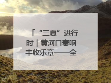 “三夏”进行时｜黄河口奏响丰收乐章——全市小麦进入大面积收获高峰期
