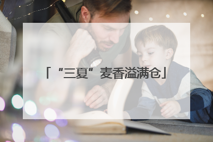 “三夏”麦香溢满仓