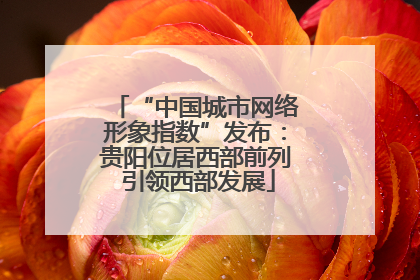 “中国城市网络形象指数”发布：贵阳位居西部前列 引领西部发展