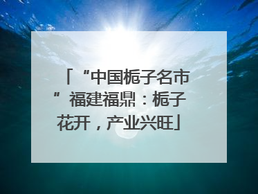 “中国栀子名市”福建福鼎：栀子花开，产业兴旺