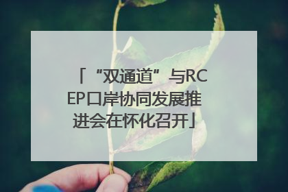 “双通道”与RCEP口岸协同发展推进会在怀化召开