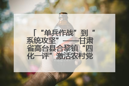 “单兵作战”到“系统攻坚”——甘肃省高台县合黎镇“四化一评”激活农村党员管理新引擎