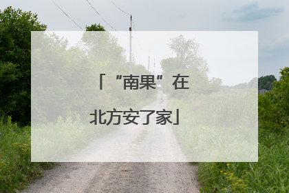 “南果”在北方安了家