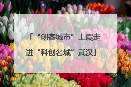 “创客城市”上虞走进“科创名城”武汉