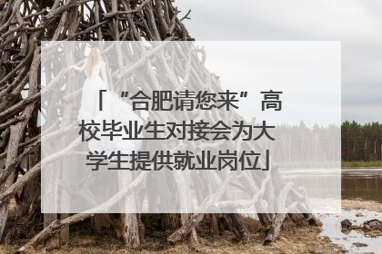 “合肥请您来”高校毕业生对接会为大学生提供就业岗位