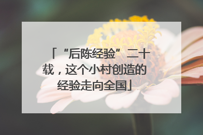 “后陈经验”二十载，这个小村创造的经验走向全国