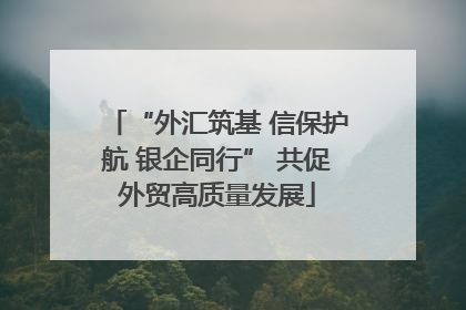 “外汇筑基 信保护航 银企同行” 共促外贸高质量发展