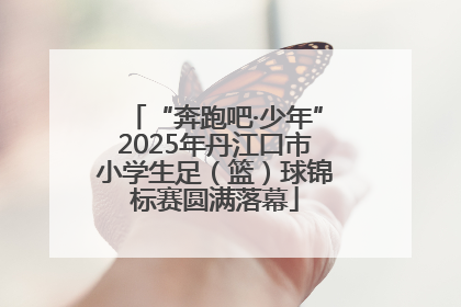 “奔跑吧·少年”2025年丹江口市小学生足（篮）球锦标赛圆满落幕