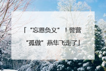 “忘恩负义”！警营“孤傲”燕隼飞走了