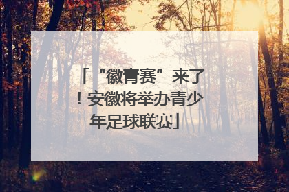 “徽青赛”来了！安徽将举办青少年足球联赛