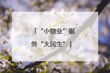 “小物业”服务“大民生”
