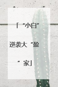 “小白”逆袭大“盈”家