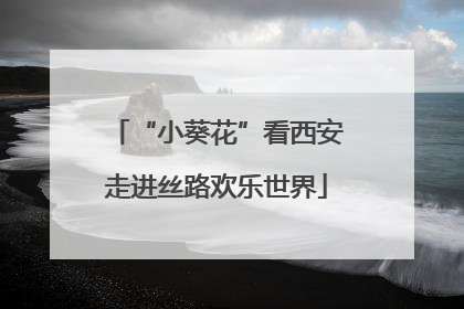 “小葵花”看西安走进丝路欢乐世界