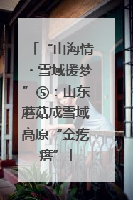 “山海情・雪域援梦”⑤：山东蘑菇成雪域高原“金疙瘩”