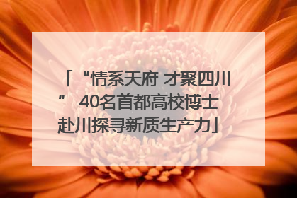 “情系天府 才聚四川” 40名首都高校博士赴川探寻新质生产力