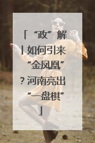 “政”解丨如何引来“金凤凰”？河南亮出“一盘棋”