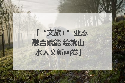 “文旅+”业态融合赋能 绘就山水人文新画卷