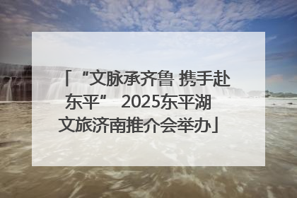 “文脉承齐鲁 携手赴东平” 2025东平湖文旅济南推介会举办