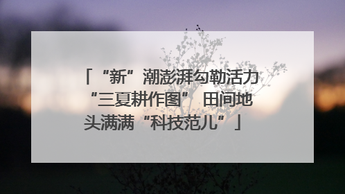 “新”潮澎湃勾勒活力“三夏耕作图” 田间地头满满“科技范儿”