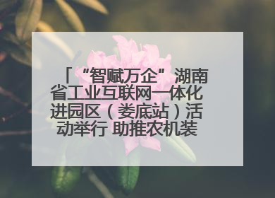 “智赋万企”湖南省工业互联网一体化进园区（娄底站）活动举行 助推农机装备产业高质量发展