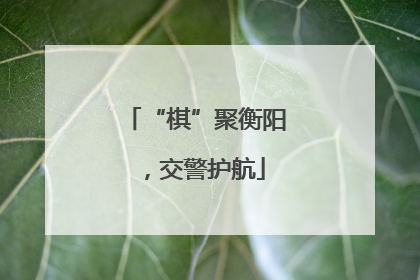 “棋”聚衡阳，交警护航