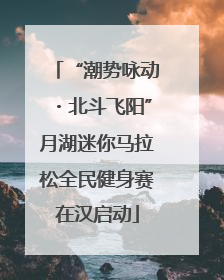 “潮势咏动・北斗飞阳”月湖迷你马拉松全民健身赛在汉启动