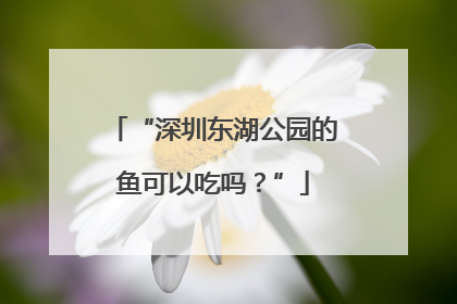 “深圳东湖公园的鱼可以吃吗？”