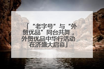 “老字号”与“外贸优品”同台共舞，外贸优品中华行活动在济盛大启幕
