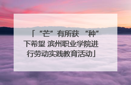 “芒”有所获 “种”下希望 滨州职业学院进行劳动实践教育活动