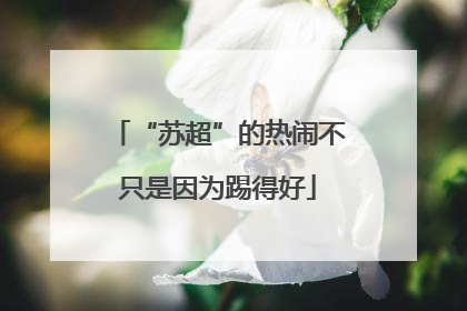 “苏超”的热闹不只是因为踢得好