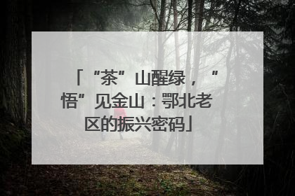 “茶”山醒绿，“悟”见金山：鄂北老区的振兴密码