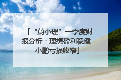 “蔚小理”一季度财报分析：理想盈利稳健 小鹏亏损收窄