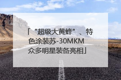 “超级大黄蜂”、特色涂装苏-30MKM 众多明星装备亮相