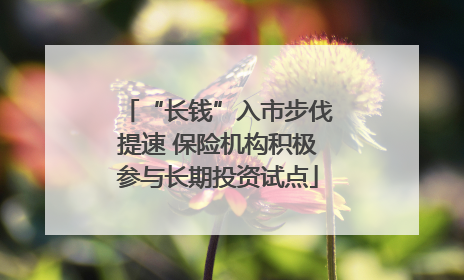 “长钱”入市步伐提速 保险机构积极参与长期投资试点