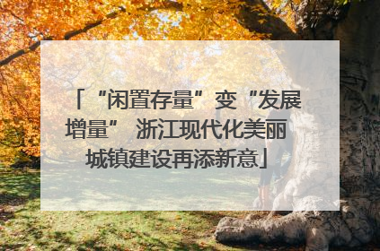 “闲置存量”变“发展增量” 浙江现代化美丽城镇建设再添新意