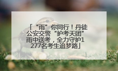 “雨”你同行！丹徒公安交警“护考天团”雨中送考，全力守护1277名考生追梦路