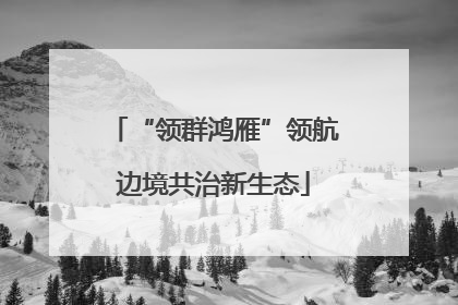 “领群鸿雁”领航边境共治新生态